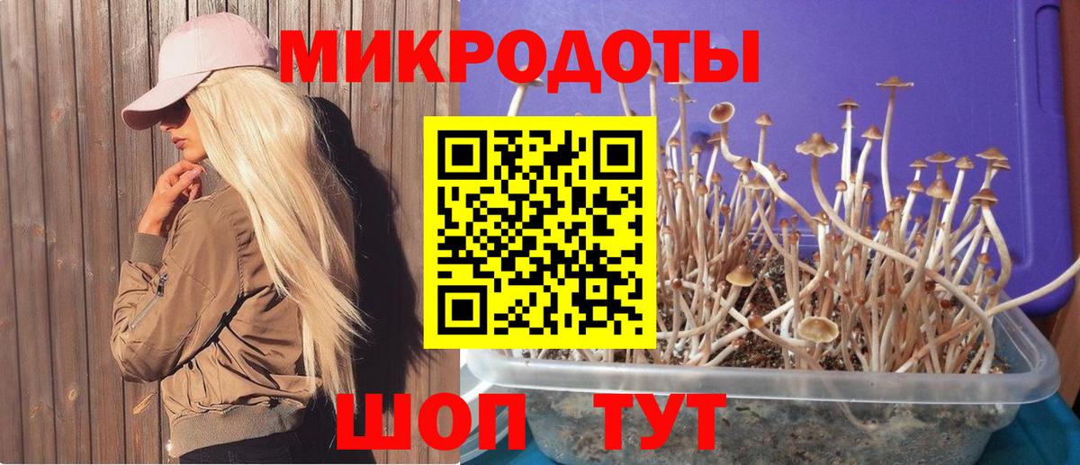 Псилоцибиновые грибы прущие грибы Киржач