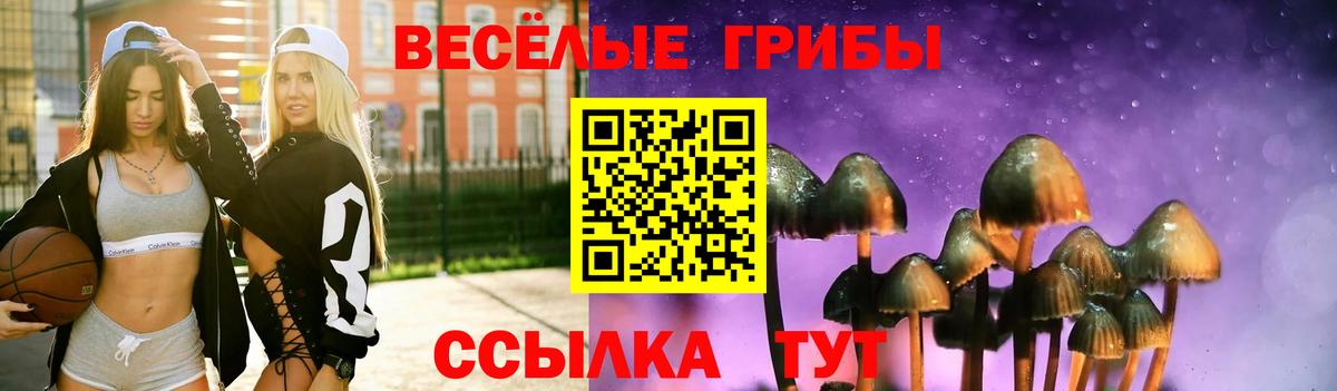 Псилоцибиновые грибы Cubensis  цены наркотик  Псилоцибиновые грибы GOLDEN TEACHER  Киржач  Вход с VPN 